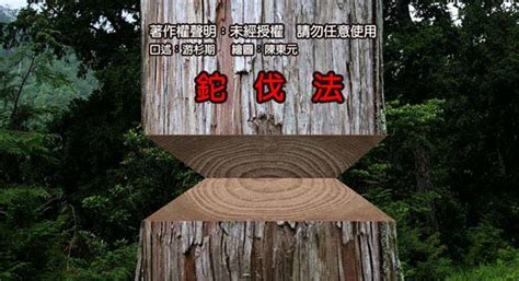 砍木頭|圖解：大元山林場伐木規則與方法